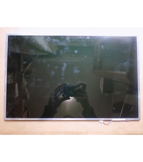 17.1" LCD EKRAN FLORASANLI LP171WX2 A4 K1